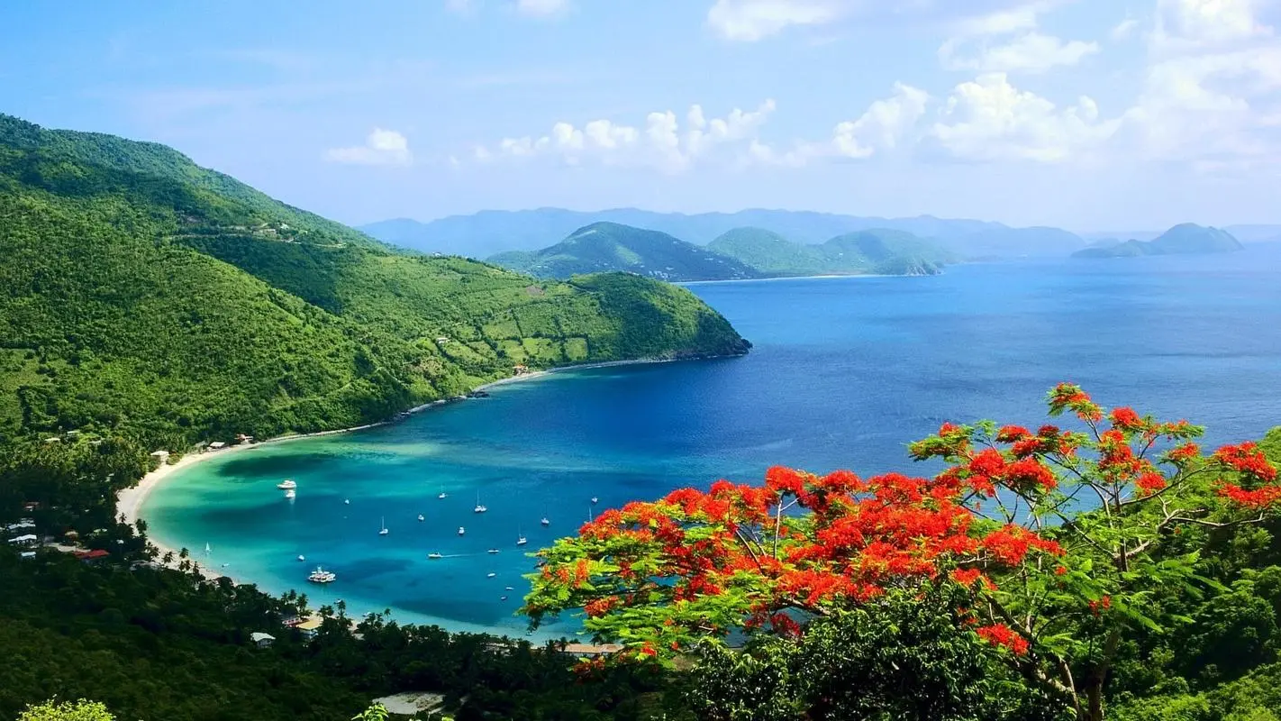 高端稳定性先进